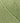 MODE at Rowan Cotton DK - Pistachio (019) - 50g