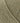 MODE at Rowan Cotton DK - Taupe (021) - 50g