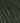 Rowan Alpaca Classic - Foliage Green (110) - 25g