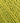 Rowan Cotton Trio - Lime (116) - 50g