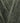 Rowan Alpaca Classic - Forest (133) - 25g