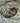 Cygnet Folly Garden - Fern Cone (20202) - 100g