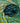 Cygnet Folly Garden - Sweet Rocket (20404) - 100g