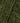 Rowan Felted Tweed DK - Lotus Leaf (205) - 50g
