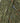 Rowan Felted Tweed DK - Khaki (228) - 50g