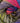 Cygnet Colour Rush Chunky - Thunderstorm (343) - 100g