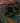 Cygnet Colour Rush Chunky - Mossy Meadow (398) - 100g