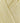 Rowan Summerlite 4 Ply - Buttermilk (421) - 50g