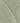 Rowan Summerlite 4 Ply - Mint (451) - 50g