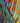 Cygnet Sprinkles Pop - Tutti Frutti (0640) - 100g