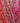 Cygnet Tickly Tots DK - Pinking of You (7555) - 100g