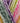 Cygnet Tickly Tots DK - Thistle Make You Bloom (7777) - 100g