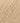 Rowan Kid Classic - Champagne (898) - 50g