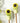 2 x Novelty Sunflower Shaped Point Protectors