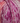 Cygnet Tickly Tots DK - Pinking of You (7555) - 100g