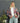 James C Brett 921 Woman's Cardigan in Emotions DK (Leaflet)