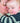 Bloom at Rowan - Baby Basics by Martin Storey (Book)